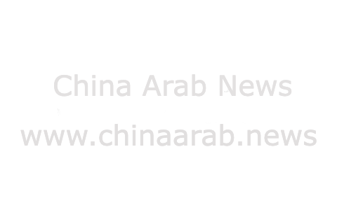 沙特阿拉伯旅游 & 商业考察指南：利雅得与吉达的魅力